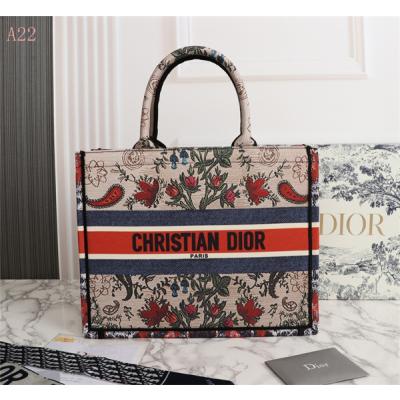 Dior Bags AAA 041